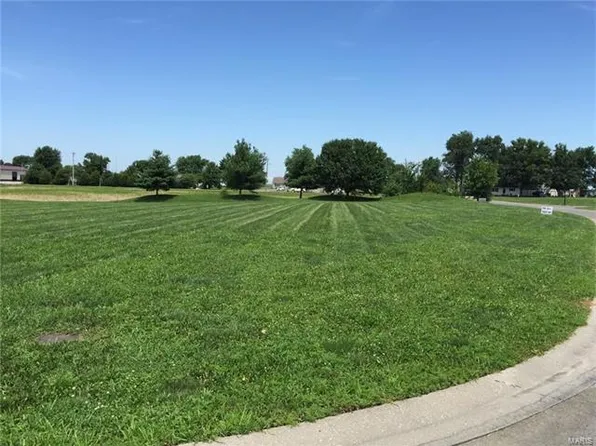983 Kleefeld Ln, Saint Libory, IL 62282