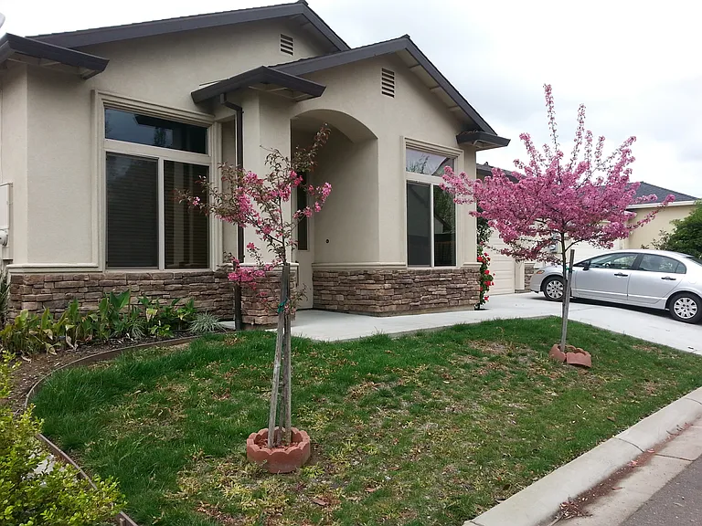 3831 Olive Ln — Photo 18