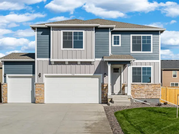 3712 Catmint St, Wellington, CO 80549