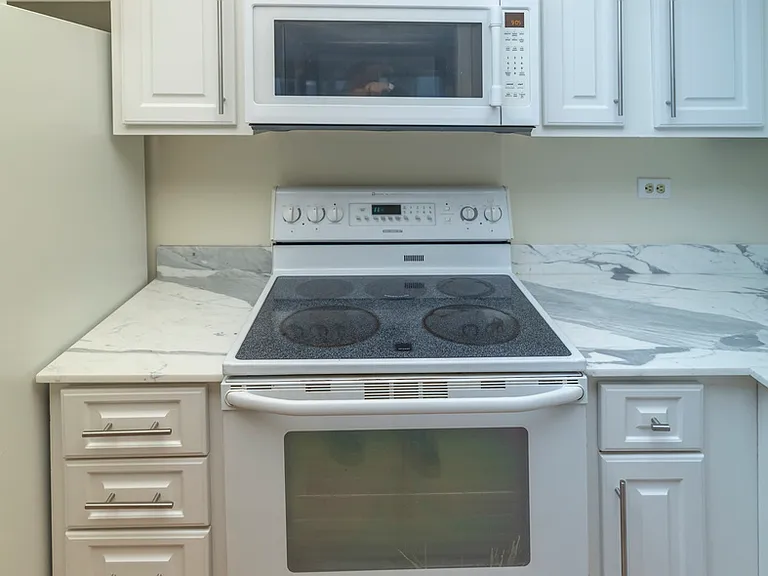 155 N Harbor Dr #1806 — Photo 14
