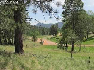1778 Southpark Rd, Florissant, CO 80816