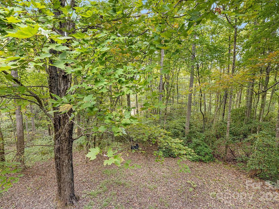 2nd image of 141 Foothills Dr