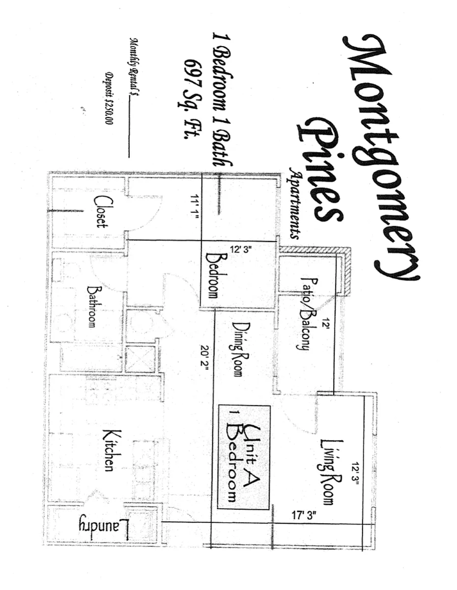 Floor plan 1 Bedroom