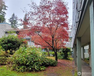 5802 200th Street SW #A, Lynnwood, WA, 98036
