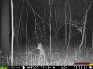 10146 Strasburg Rd, Erie, MI 48133