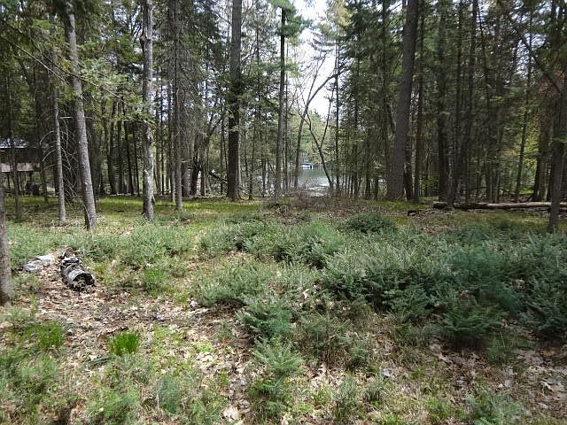 Build Walk-Out Lower Level