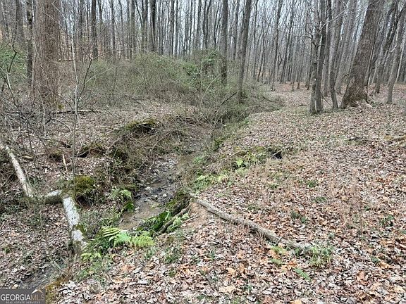 5th image of 0 Tarpkins Rd