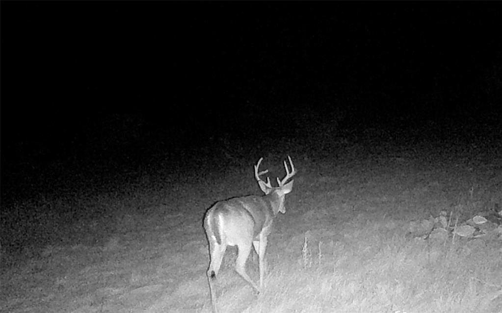 1115 Bison Rd, Eden, TX 76837 MLS 85724038 Zillow