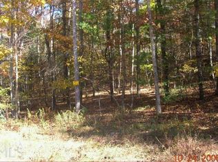 3 Peter Knob Rd #3, Blue Ridge, GA 30513