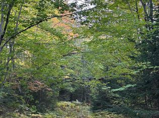 1398 N Setter Dr, Skandia, MI 49885