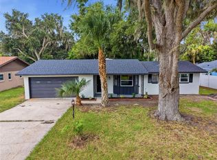 4146 Cactus Ln, Mount Dora, FL 32757