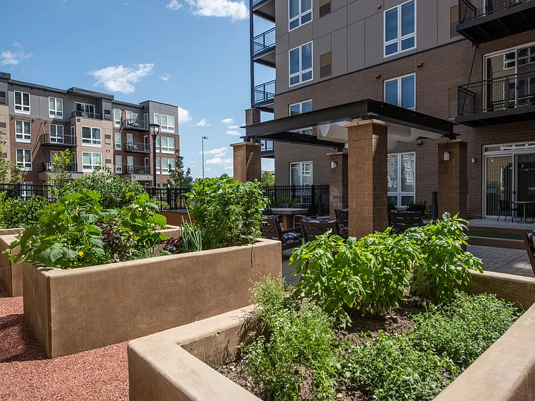 Community Garden