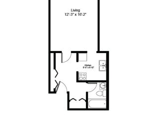 639 W Grace St #655522, Chicago, IL 60613