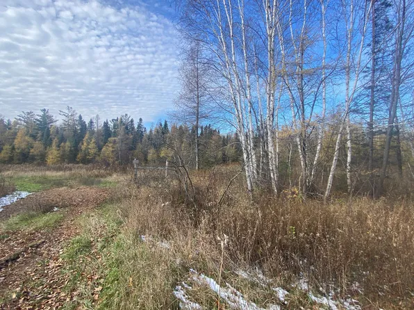 Xxx Norway Spruce Rd, Finlayson, MN 55735