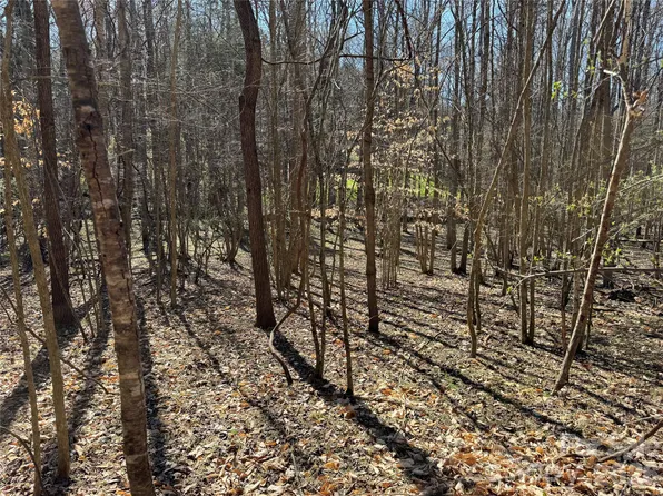 11490 King James Blvd #2, Davidson, NC 28036