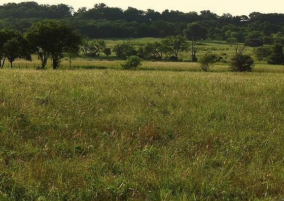 5th image of T B D Hayes Rd