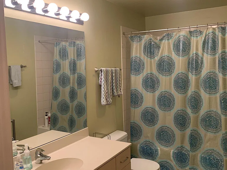 1620 S Michigan Ave #1213 — Photo 11