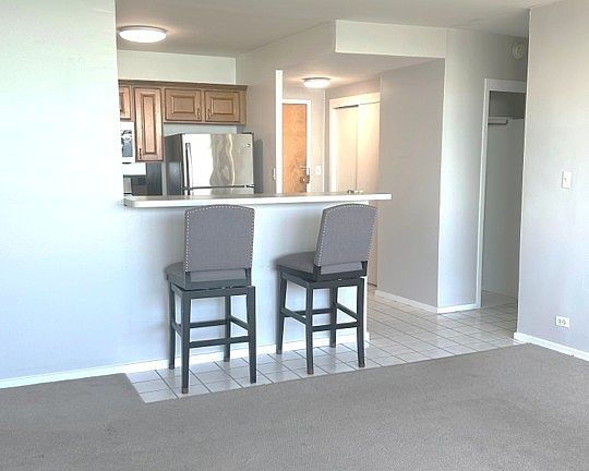 3rd image of 1150 N Lake Shore Dr APT 8B