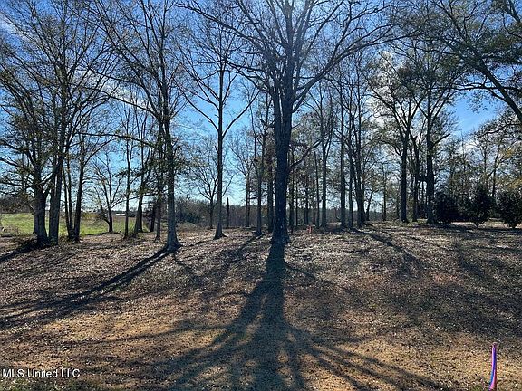 3rd image of 0 Biltmore Dr