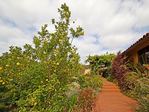 Orchard