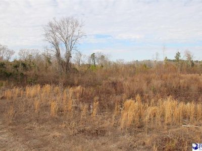 Country Manor Rd, Lamar, SC, 29069