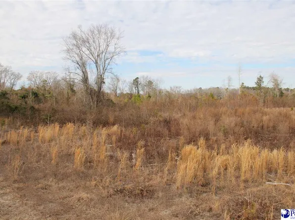 Country Manor Rd, Lamar, SC 29069