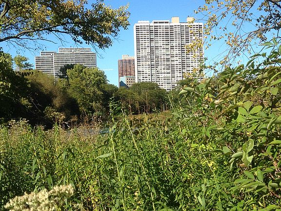 2nd image of 2800 N Lake Shore Dr APT 404