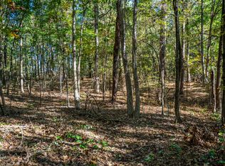 0 County Road 4105, Daingerfield, TX 75638