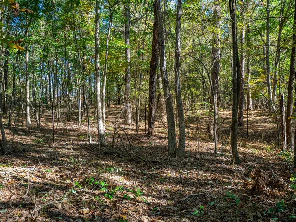 0 County Road 4105, Daingerfield, TX 75638