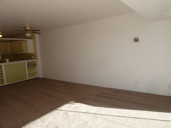 3rd image of 1121 N Albion St APT 709