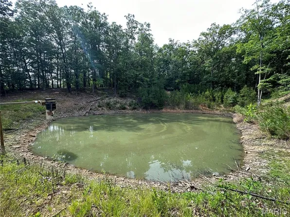 10152 Spool Ln, Potosi, MO 63664