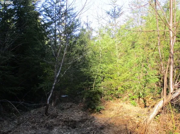 0 SE Harvey Rd, Estacada, OR 97023