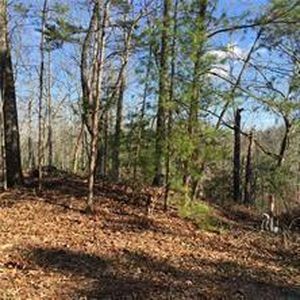 1377 Foxhound Trl #1377, Ranger, GA, 30734