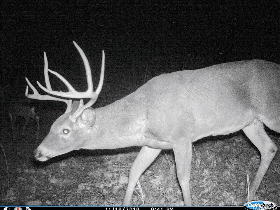 1st image of County Road 502
