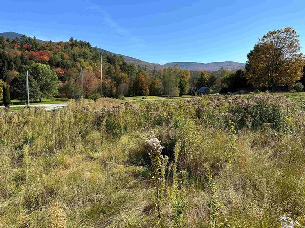 lot 4 Cold Spring Road, Lincoln, VT 05443