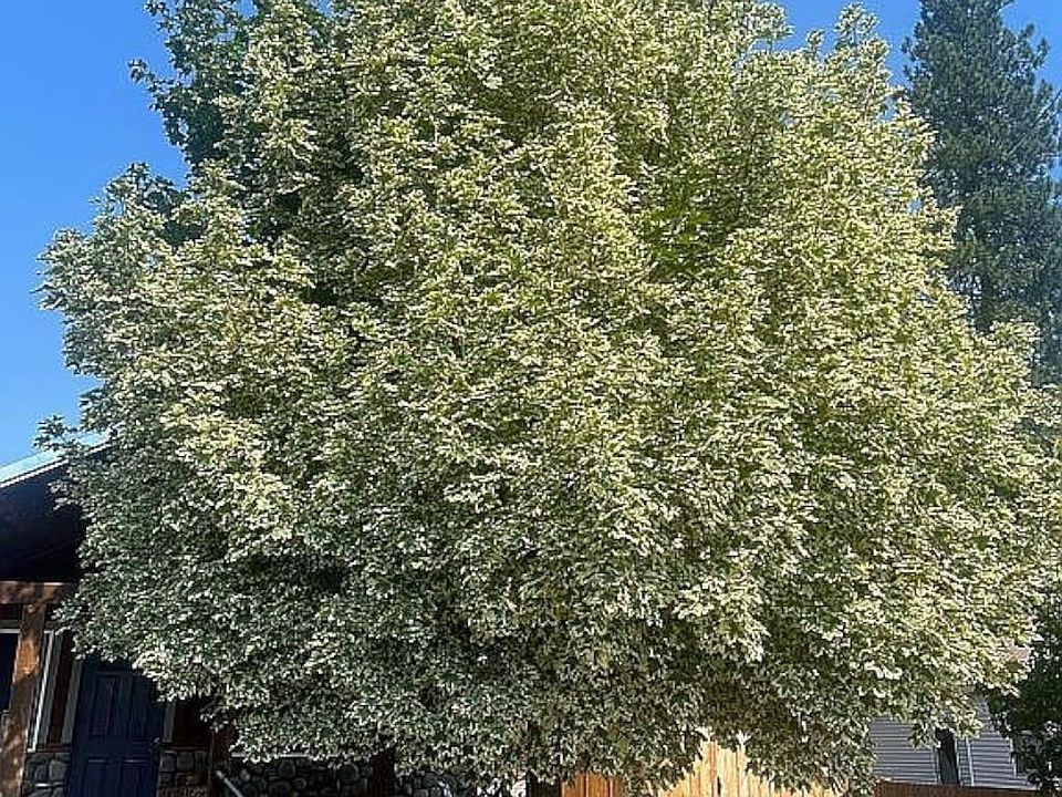 365 E Beardmore Ave, Priest River, ID 83856 MLS 20232380 Zillow