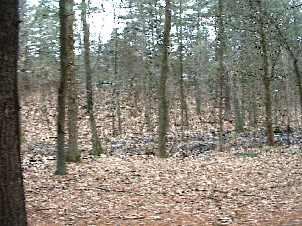 1st image of Browns Pond Road #9.1 Acres