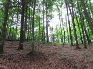 40 Switchback Rd, Millerton, PA 16936