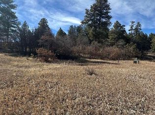 90 Chase Ct, Pagosa Springs, CO 81147