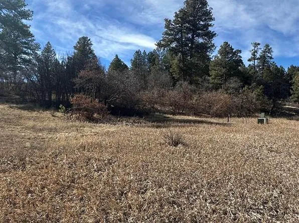 90 Chase Court, Pagosa Springs, CO 81147