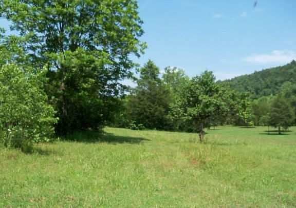 3rd image of 9248 Nine Mile Ridge Rd