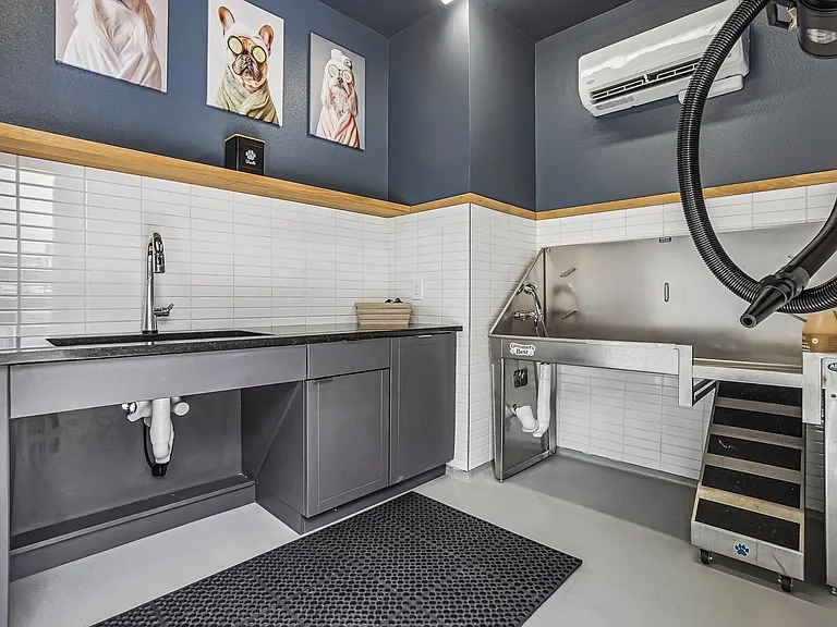 Switch Luxury Apartments — Photo 14
