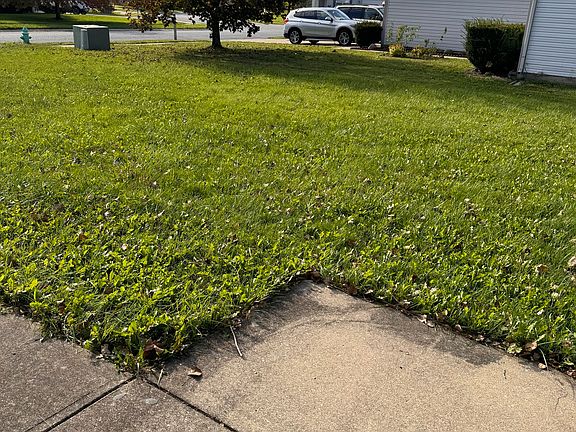 4th image of 3631 Lace Bark Dr