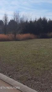 149 Cold Creek Rd, Madisonville, TN, 37354