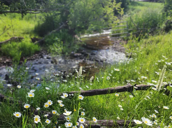 7900 County Road 41, Hamilton, CO 81638