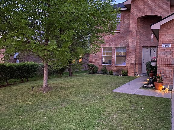 Frontyard evening photo