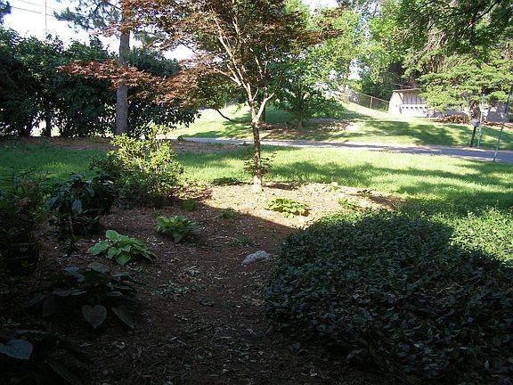 yard view from front deck