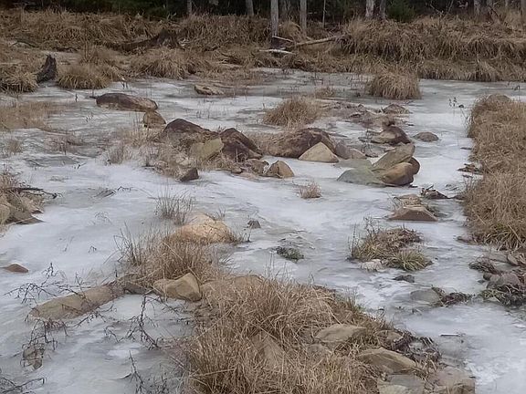 5th image of AR105P4 Jemtland Road