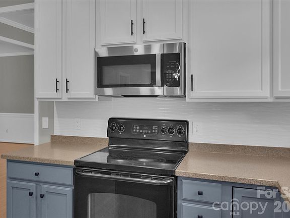 4th image of 1007 Butterburr Dr