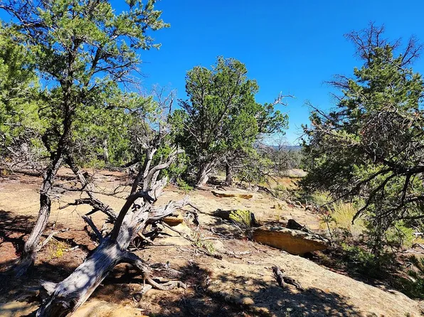 0 Davids Rock, Ramah, NM 87321